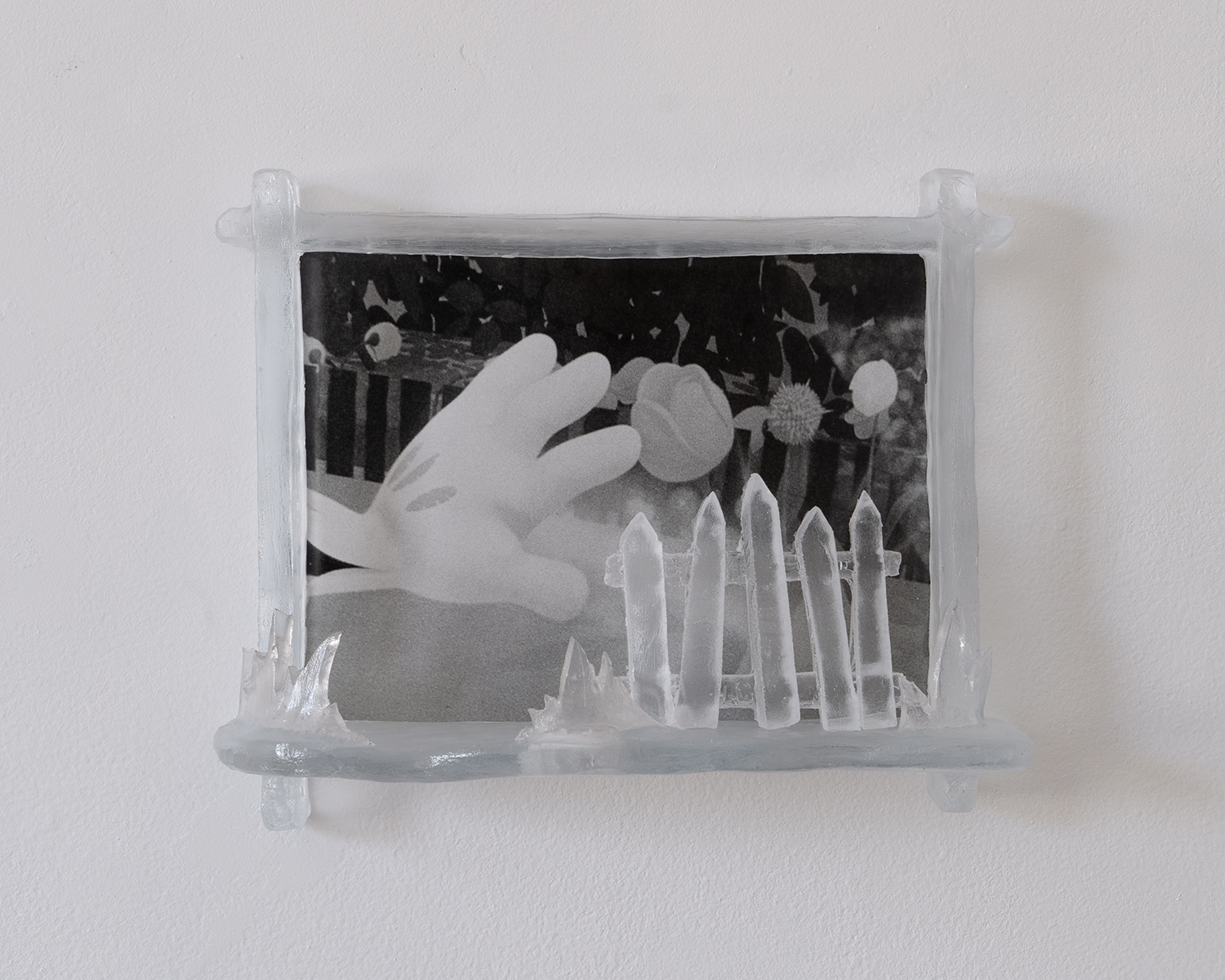 Black and white photo of Mini Mouses hand in a clear resin frame with fence and grass.